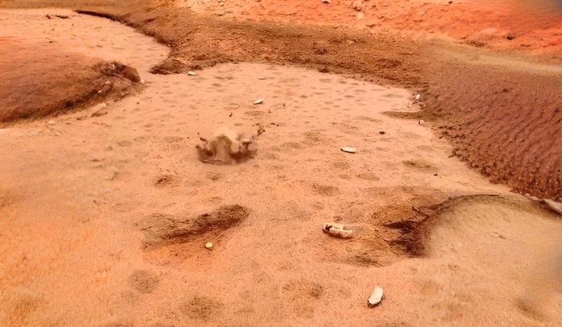 Saudi Arabia Warns Against Hidden Desert Ponds Covered by Sand